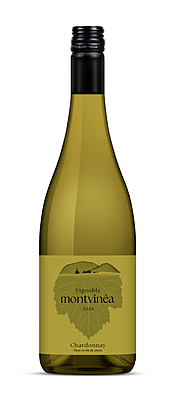 Vin Chardonnay - Fût de chêne